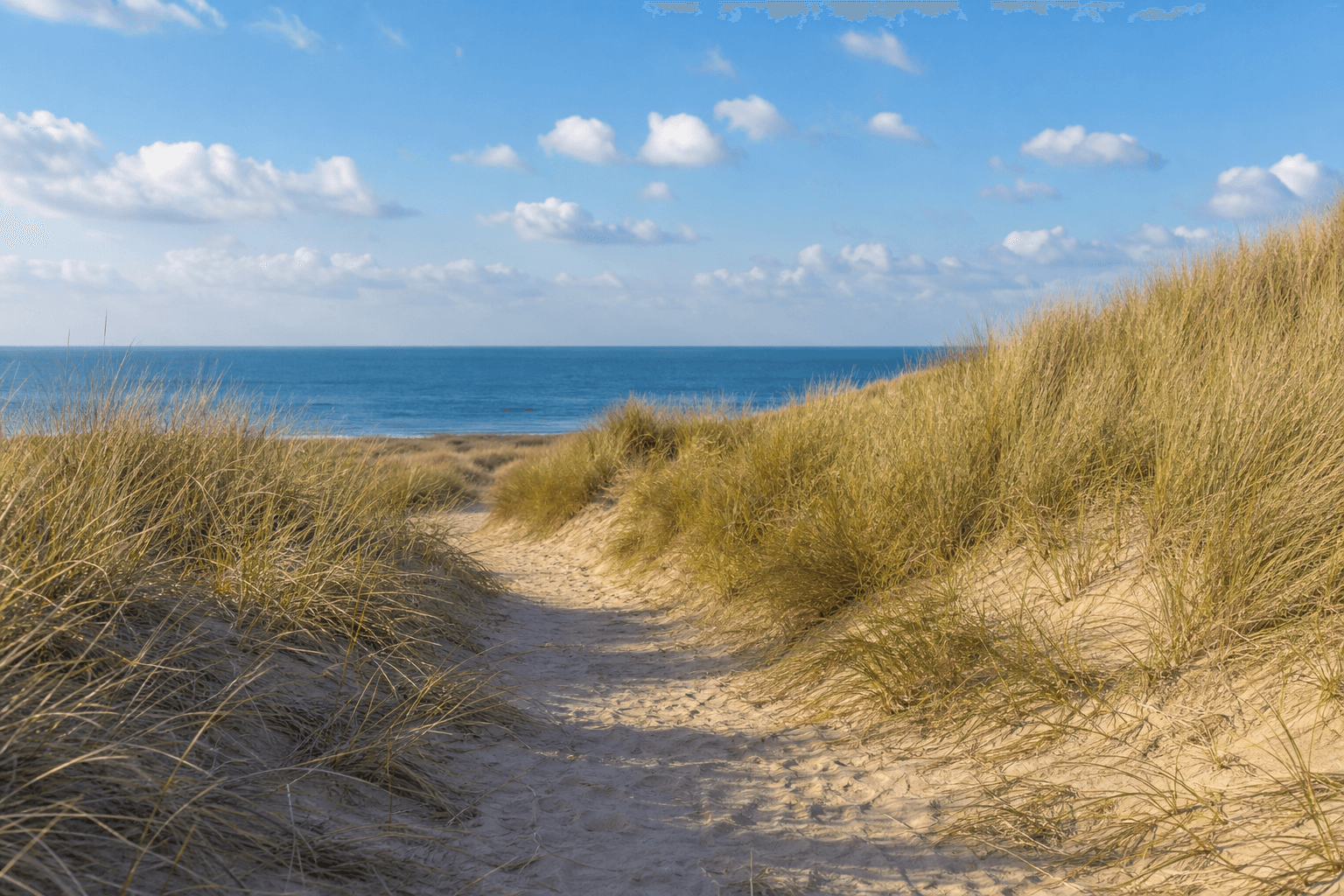 Southport in July 2026: The Open, the Summer and What Else Is On