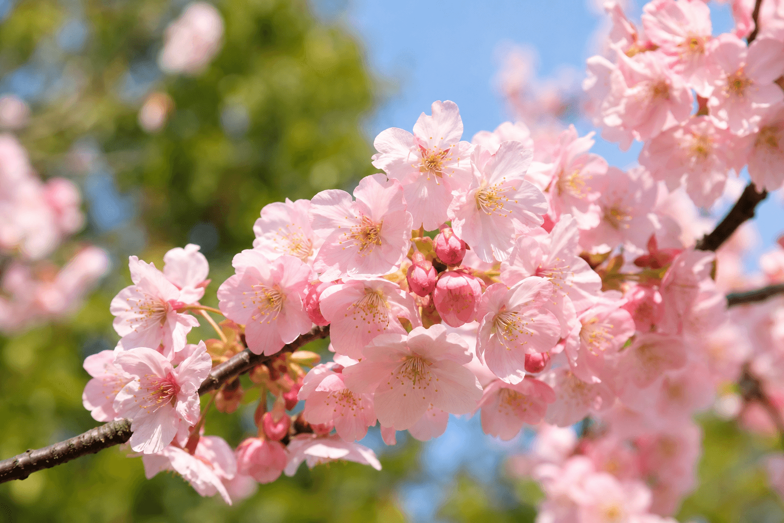 Things to Do in Southport in May 2026