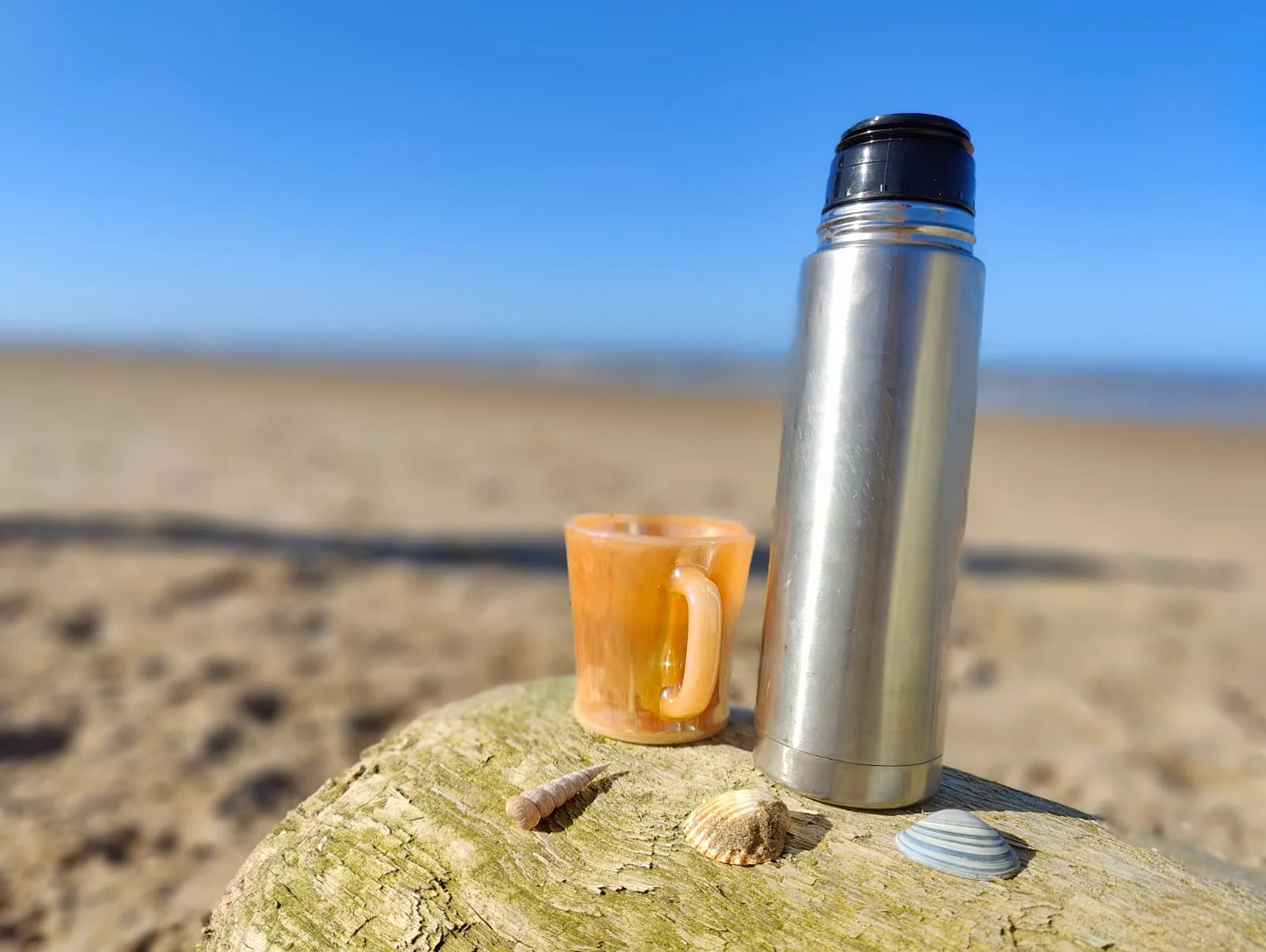 Flask and cup on driftwood on Ainsdale Beach, with shells and the sea in the background