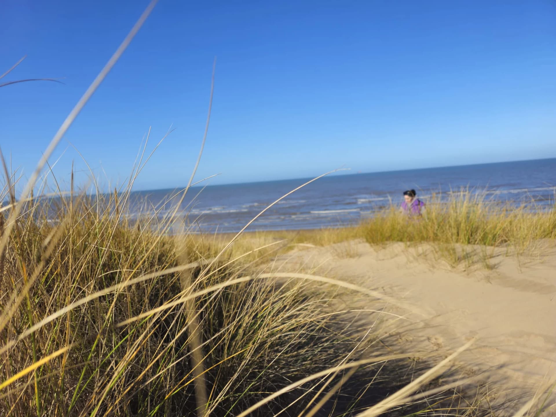 Beachcombing at Ainsdale โ What We Found on a Winter Morning