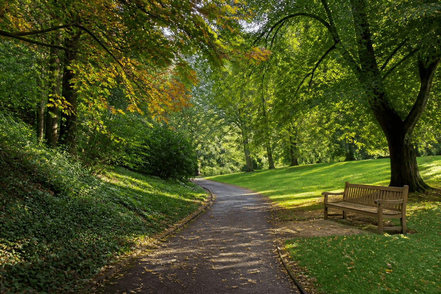 Autumn Walks in Southport: The Best Routes as the Season Changes