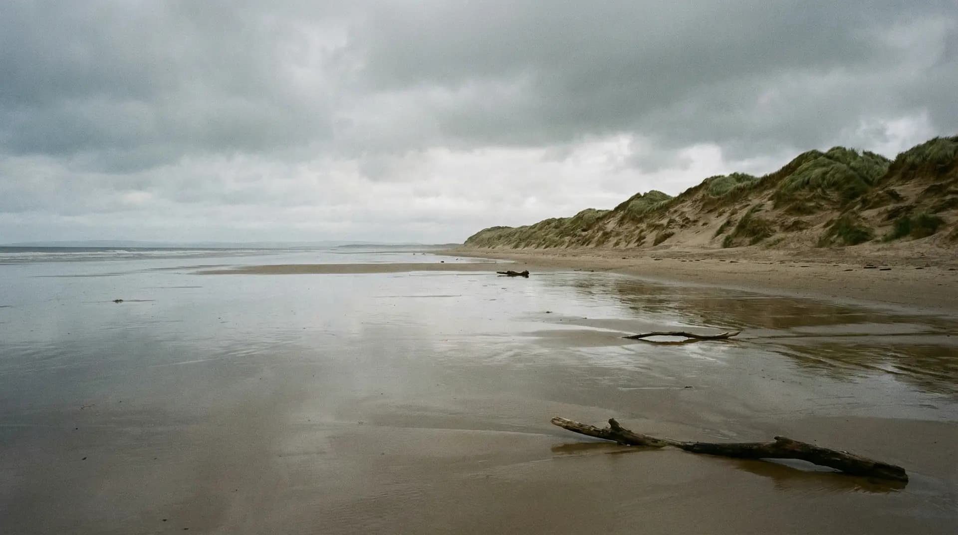 Dog-Friendly Southport