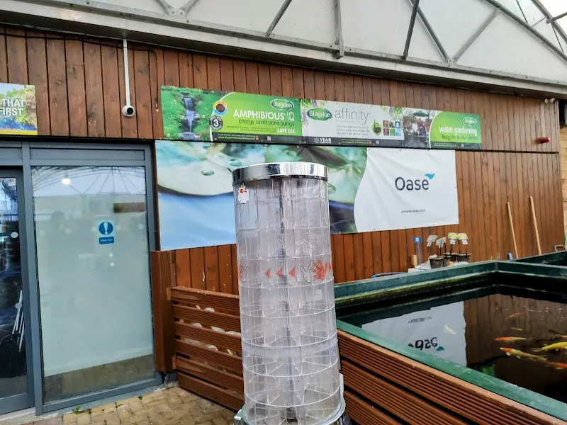 Maidenhead Aquatics Southport