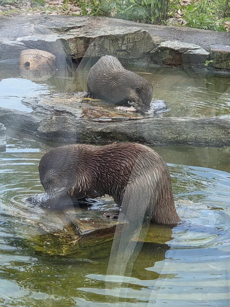 WWT Martin Mere Canoe Safari and Boat Tour